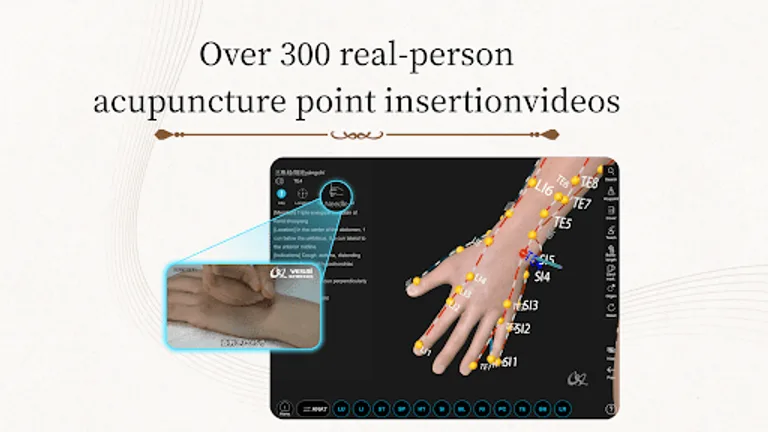 Acupuncture Master screenshot 16