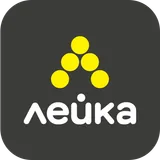 Лейка - мойка автомобиля icon