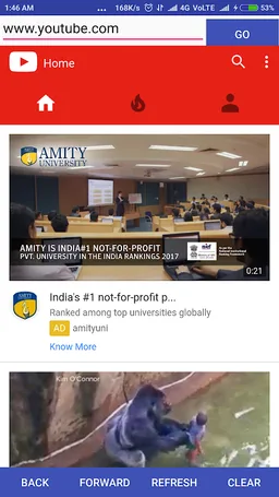 Escort Browser screenshot 1