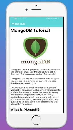 MongoDB screenshot 3