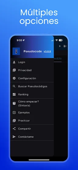 Pseudocode, PSeInt, Visualg screenshot 3