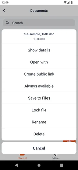 RushFiles screenshot 3