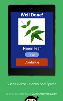 Guess name - Herbs and Spices screenshot 2