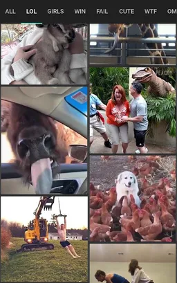 Funny Videos screenshot 2