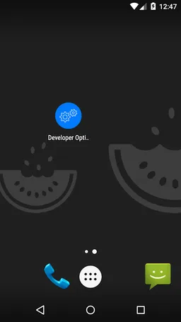 Developer Options shortcut & Device Info screenshot 1