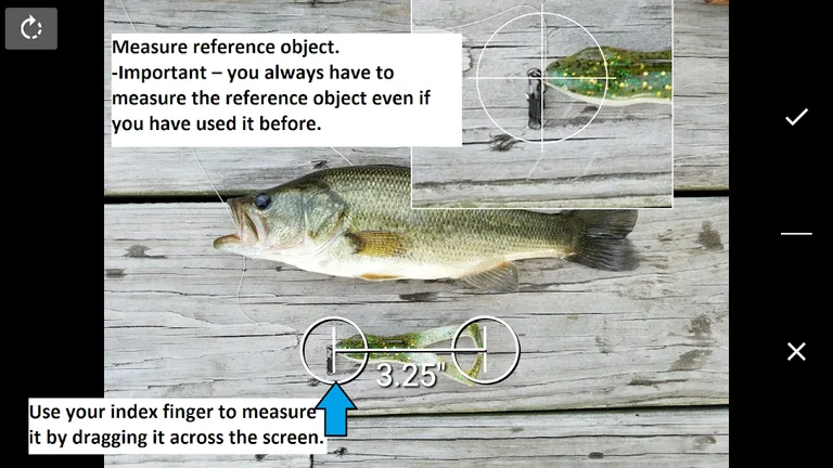 Fisherman's Mobile Weigh Station screenshot 1