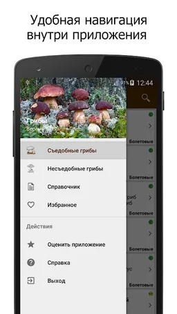 Грибы screenshot 3