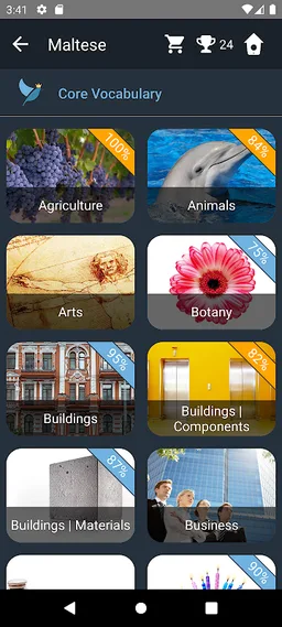 Maltese Language Tests screenshot 19