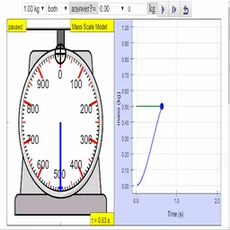 Read Weighing Scale Simulator screenshot 8