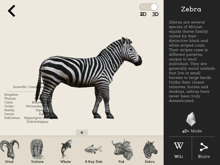 Animal 4D+ screenshot 7