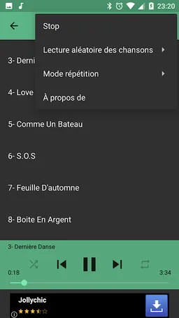 Indila mp3 Offline Best Hits screenshot 4