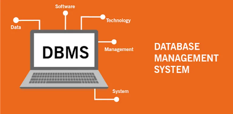 DATABASE MANAGEMENT SYSTEM cover image