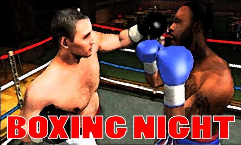 Boxing Night 3D screenshot 1