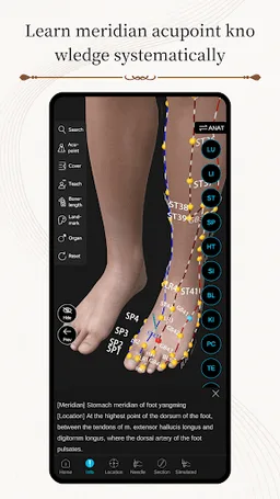 Acupuncture Master screenshot 5