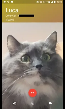 VÍDEO CHAT screenshot 3