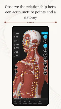 Acupuncture Master screenshot 3