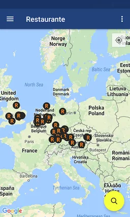 Servicii romanesti in U.E. screenshot 7