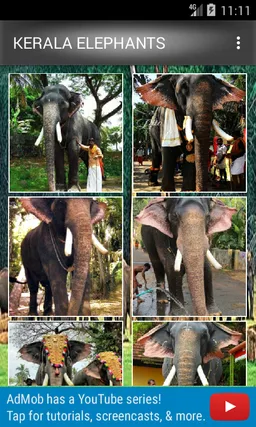 Kerala Elephants screenshot 3