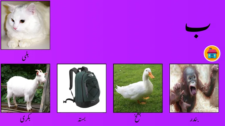 Urdu alphabets - Alif Bay Pay screenshot 2