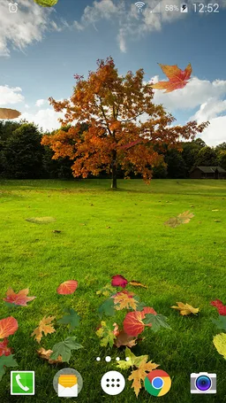 Falling Leaves Live Wallpaper screenshot 13