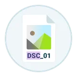 DSC Auto Rename icon