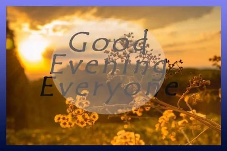 Good Evening Cards screenshot 3