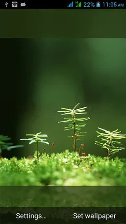 Top Nature Live Wallpapers screenshot 8
