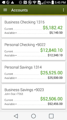 The Southern Credit Union screenshot 1