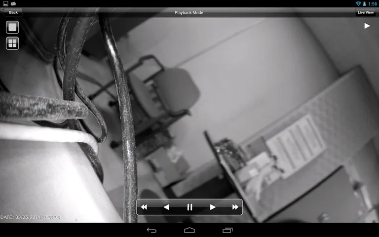 nViewer screenshot 1