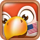 Learn English Phrases icon