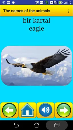 Animal names in Turkish screenshot 6