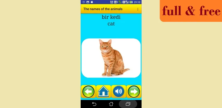 Animal names in Turkish cover image