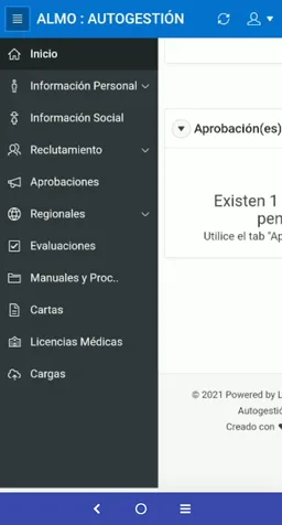 Almo AutoGestion screenshot 2