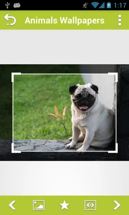 Animals Wallpapers screenshot 7