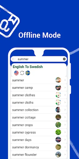 Swedish to English Dictionary screenshot 3