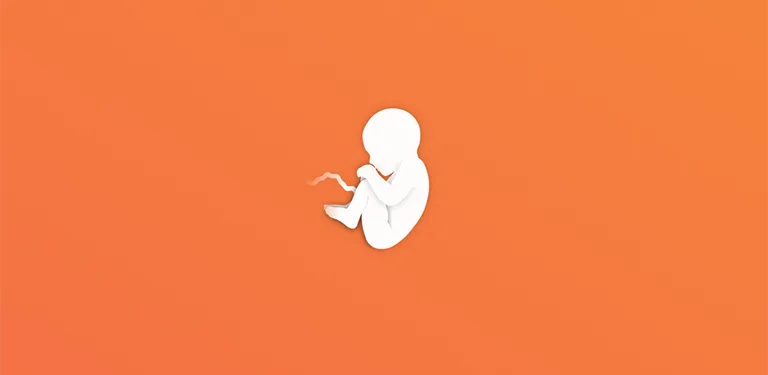 Pregnancy Mentor cover image