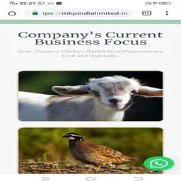 MKP India Limited screenshot 3