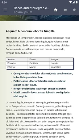 CHM Reader screenshot 1
