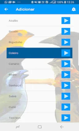 Canto dos Pássaros (Despertador) screenshot 2