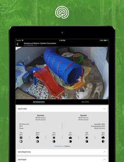 explore.org screenshot 1