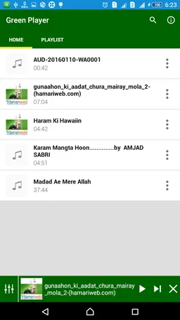 Green Player screenshot 2