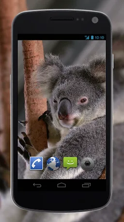 4K Cute Koala Video Live Wallpaper screenshot 1