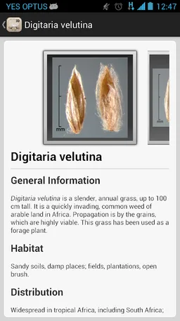 Federal Noxious Weeds Key screenshot 4