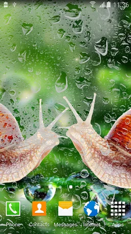 Rainy Live Wallpaper screenshot 7