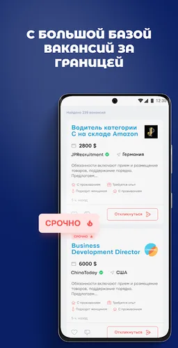 Layboard - работа за границей screenshot 10