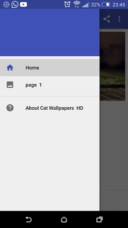 Cat Wallpapers HD screenshot 2