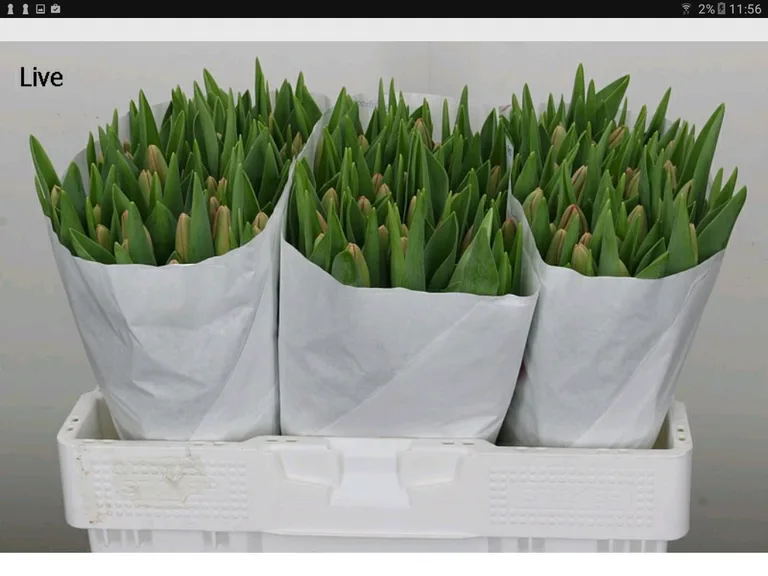 Hilverda De Boer B.V. App screenshot 8