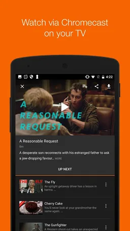 Discover Film screenshot 4