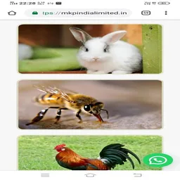 MKP India Limited screenshot 2