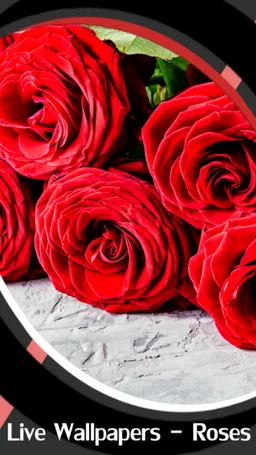 Live Wallpapers - Roses screenshot 1